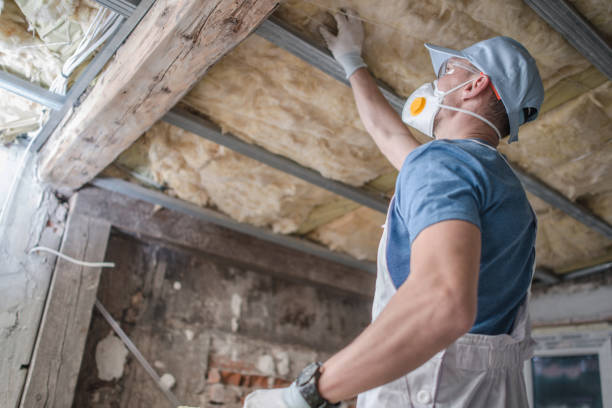 Best Geographic-Specific Insulation Services in Albion, IN