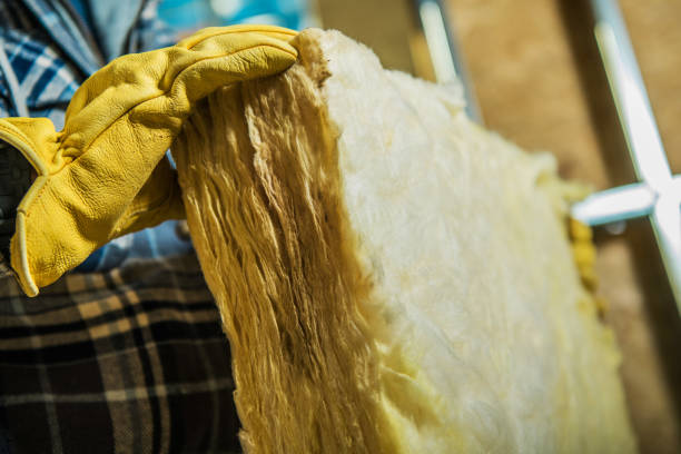 Best Specialized Insulation Services in Albion, IN